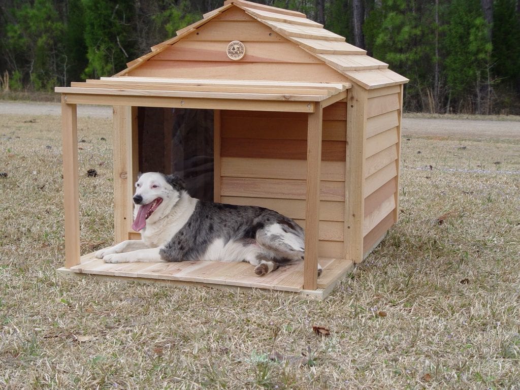 A large collie lounges on the front porch of one of Ricky's custom doghouse